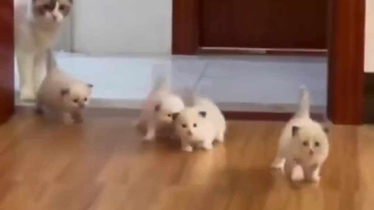 “Hey, I’m your mommy” 😂