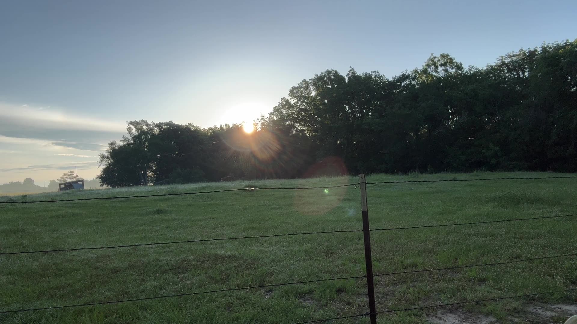 Daily office, Morning Prayer