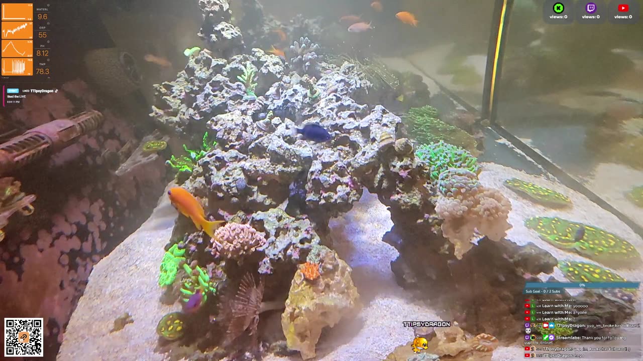 24/7 Real Live Reef Stream