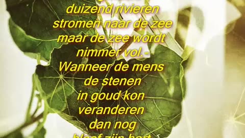 Duizend rivieren