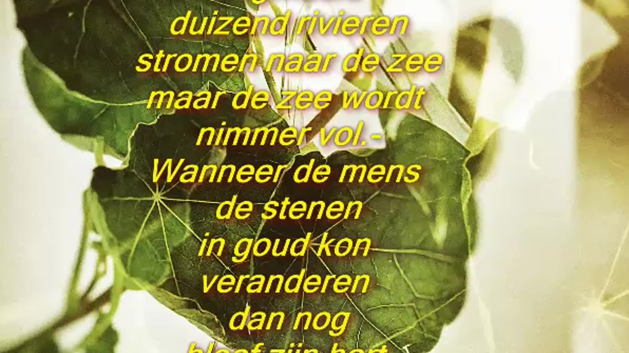 Duizend rivieren