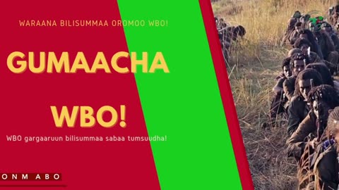 Gabaasa Gumaacha ONM-ABO Hagayya 16-2025 itti dhiyaadhaa!