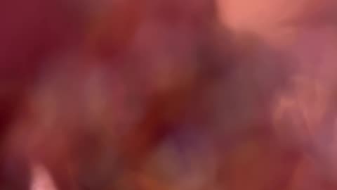 Thee Crab Report and A Crab Warning