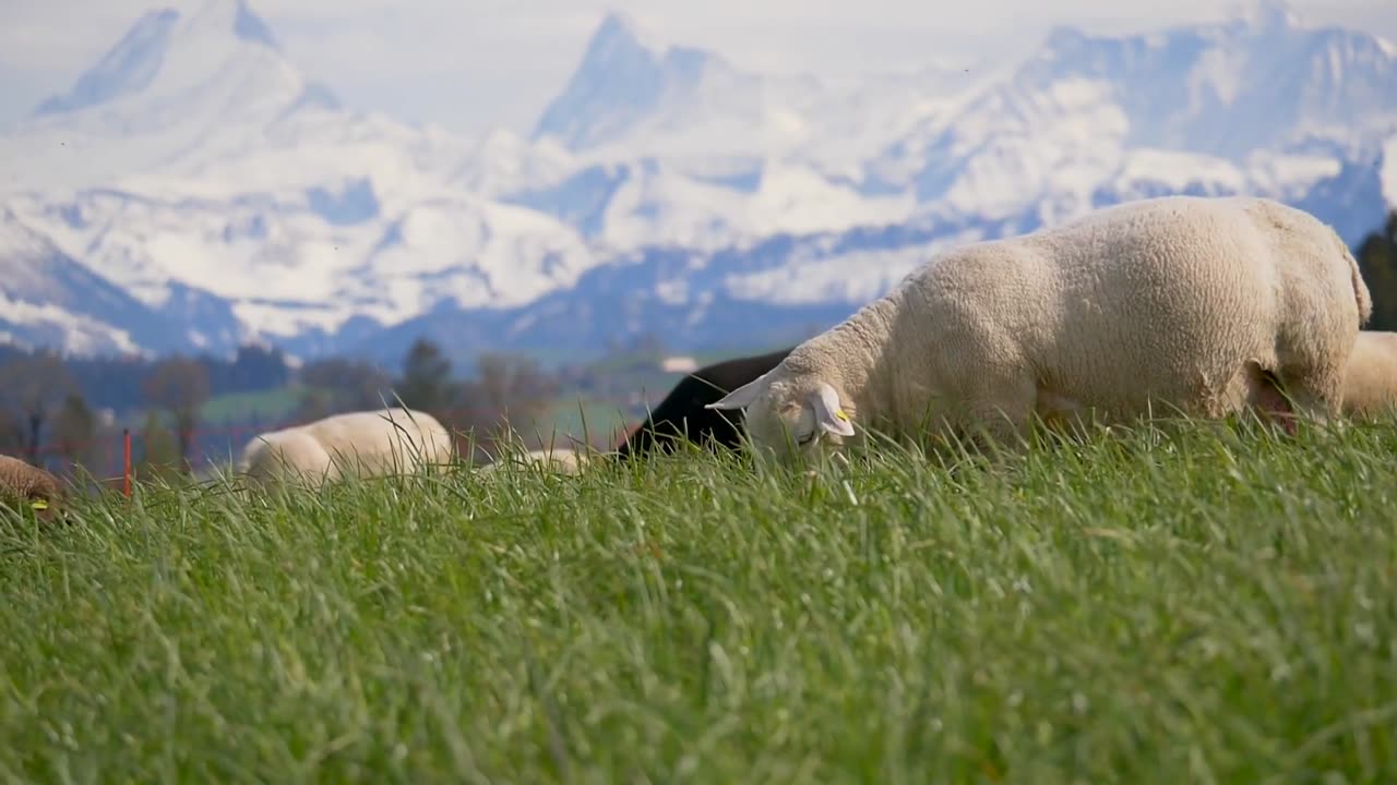 Norway The Most Beautiful Country in the World 🌍🇳🇴