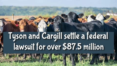 MEAT PRICES TO THE MOON? Why Beef Prices Are About to Explode