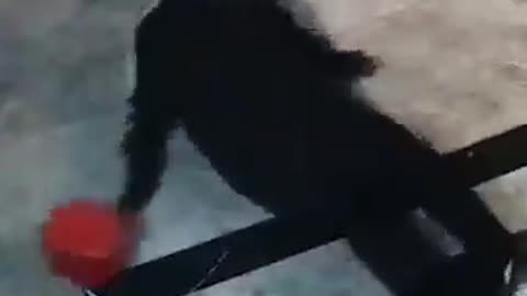 Third attack on salon in Burwood, Sydney