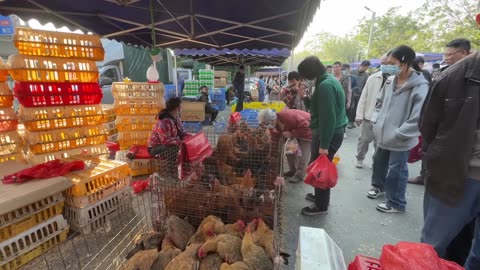 Extremely Weird Meat Market Of China 🇨🇳🤮|Pathetic Animal Market 🥵🥵