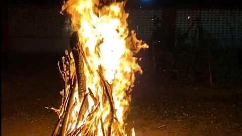 Daily Horoscope | Aries 🌟