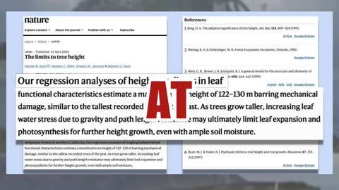 Fact Check: Rock Formations In Video Are NOT Giant Tree Stumps -- Despite Book Of Enoch Myths