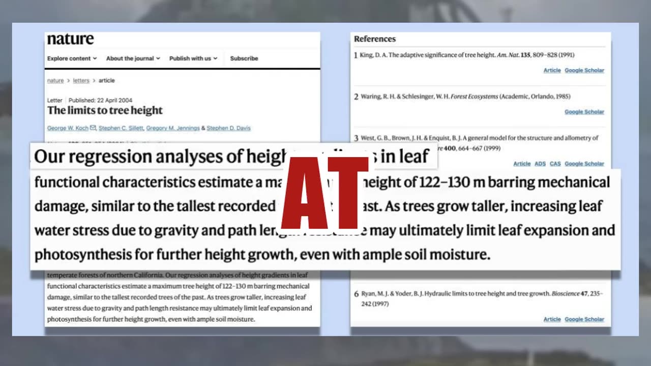 Fact Check: Rock Formations In Video Are NOT Giant Tree Stumps -- Despite Book Of Enoch Myths