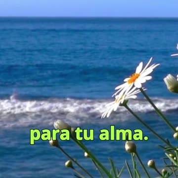 😊 35 LO QUE HAY EN TU CORAZÓN SE MANIFIESTA Mateo 12:34 😊