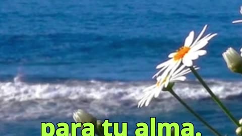 😊 35 LO QUE HAY EN TU CORAZÓN SE MANIFIESTA Mateo 12:34 😊