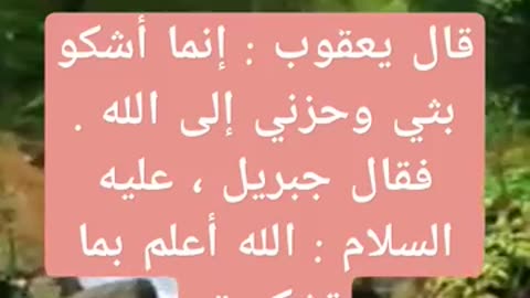 من هو النبي الذي قال انما اشكو بثي وحزني الى الله؟