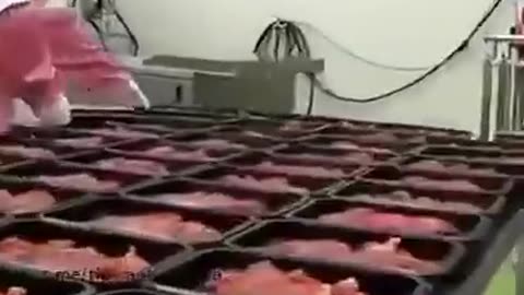The New Artificial Meat