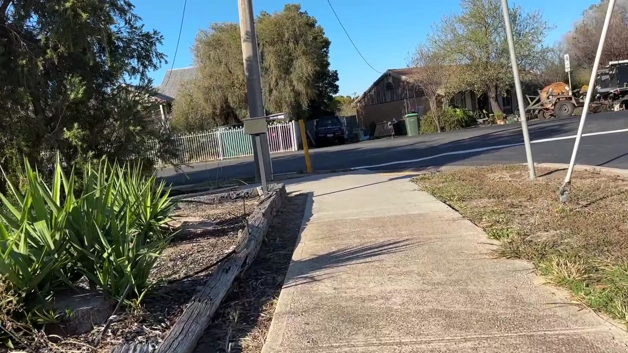 The sun is shining, perfect for a walk...