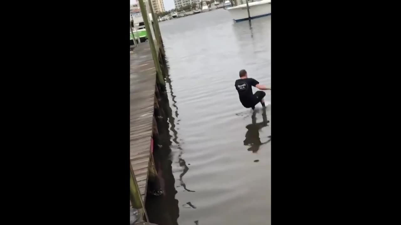 Daily Chaos #4 Memes that will make you cry
