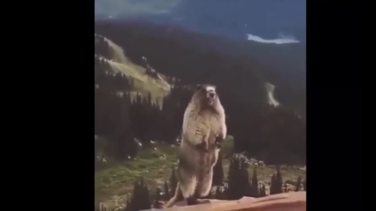 Is this ghost ??