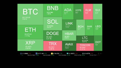 Live Coin Price Watch!