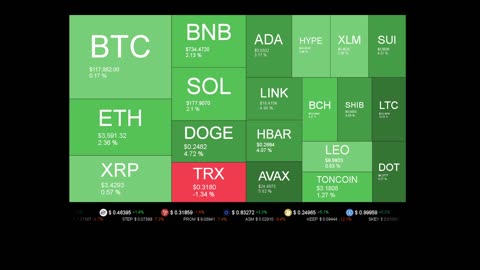 Live Coin Price Watch!