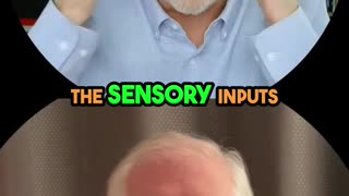 Rest and Relaxation: Calming Your Mind for PTSD