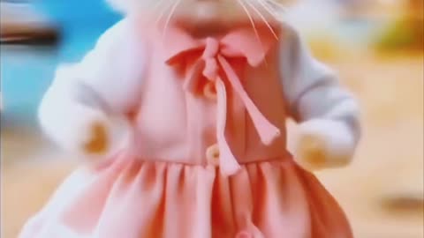 Cat funny dance video #cat#catlover#viral#trending #10