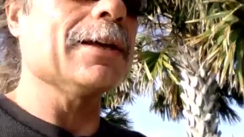 8-16-15 Lion of Judah