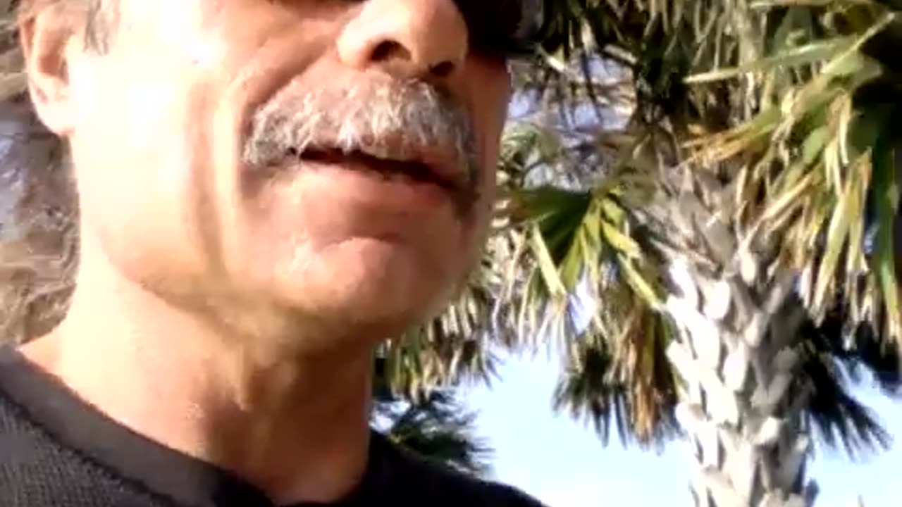 8-16-15 Lion of Judah