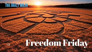 Freedom Friday: Crop Circles | Ep: 080825 The Daily MoJo