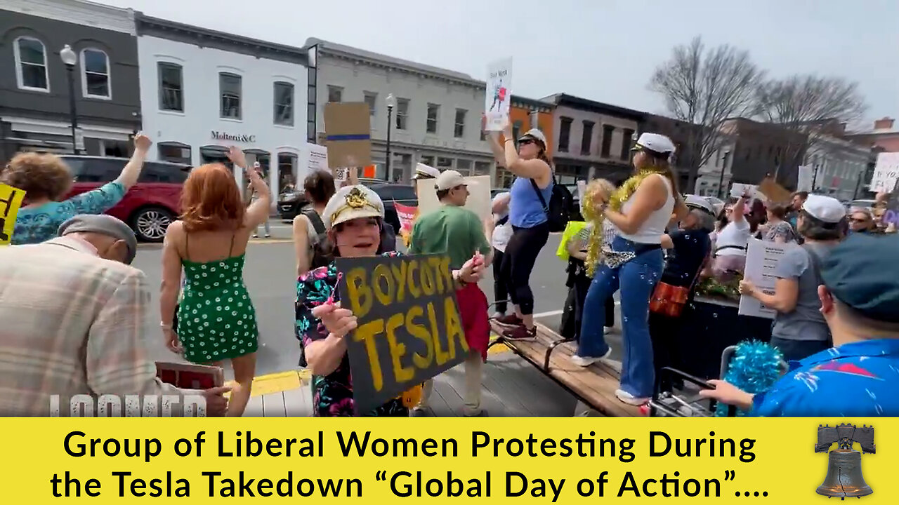 Group of Liberal Women Protesting During the Tesla Takedown “Global Day of Action”....