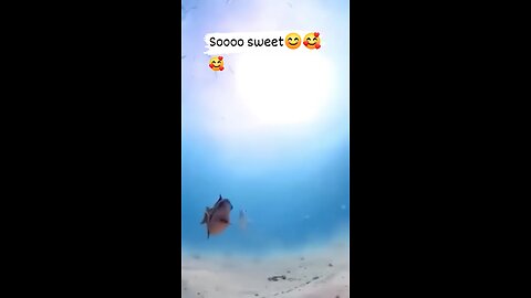 Kissing 🐠 Fish 🐟