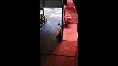 A Whaz Up Update