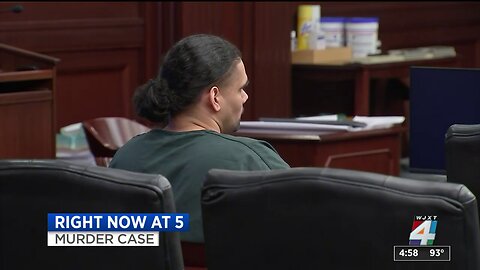 Black man accused of murdering pregnant teen niece impregnated, sexually assaulted another child