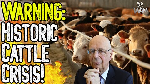 WARNING: HISTORIC CATTLE CRISIS! - Shortages Are Destroying Farms As Prices Skyrocket!