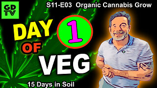 S11-E0 Day 1 Of Veg Stage - Organic Cannabis Grow: QCS Black Bud, Runtz, Biscotti, & Frosted Gelato