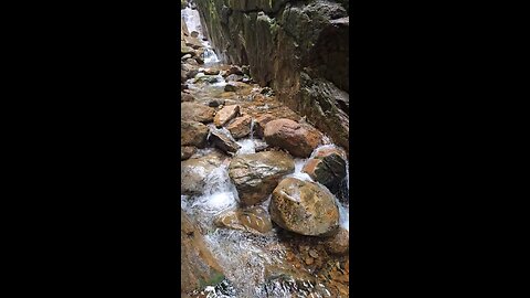 Beautiful nature