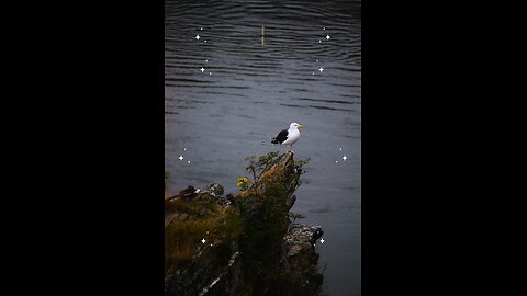 Surah Baqarah Ayat 11-15 #islam #viralvideos #islamicreminders #prophetmuhammadsaw #hadeesenabvi