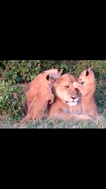 GIVING GOD GLORY - DAILY DEVOTIONAL ❤️