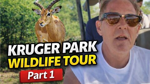 Kruger National Wildlife Park TOUR ⛰️🐗🦁 Part #1