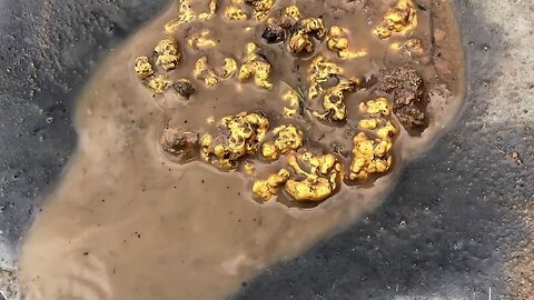 Gold Panning