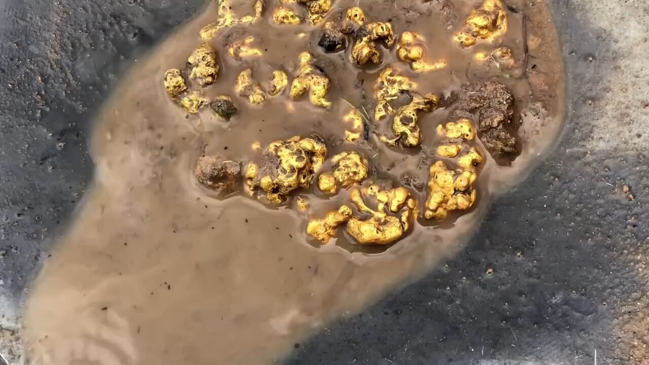 Gold Panning