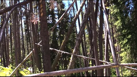 Trekking the Barrier Peaks! / Robert Boston & Duke