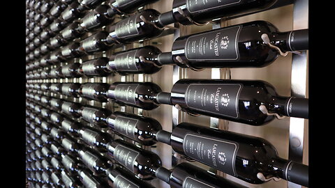 Where Do Wine Corks Come From?