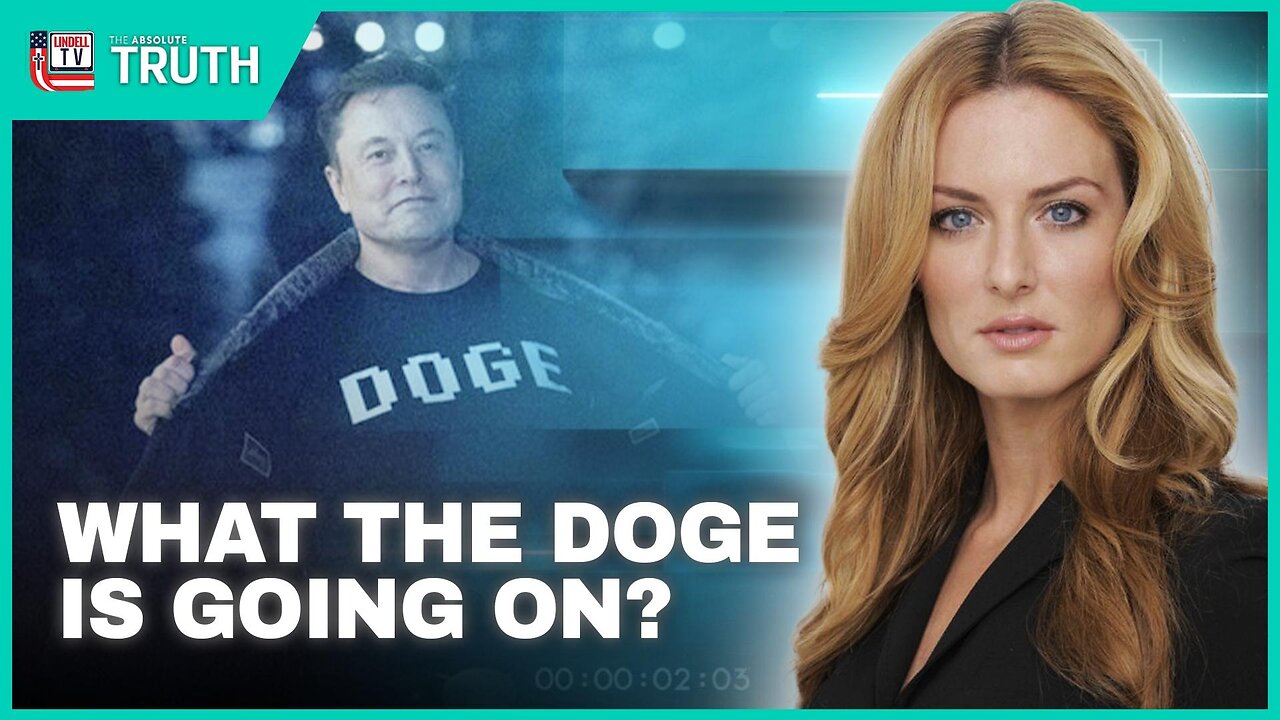 What The Doge is Going on?