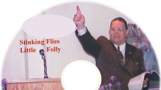 Stinking Flies and a Little Folly