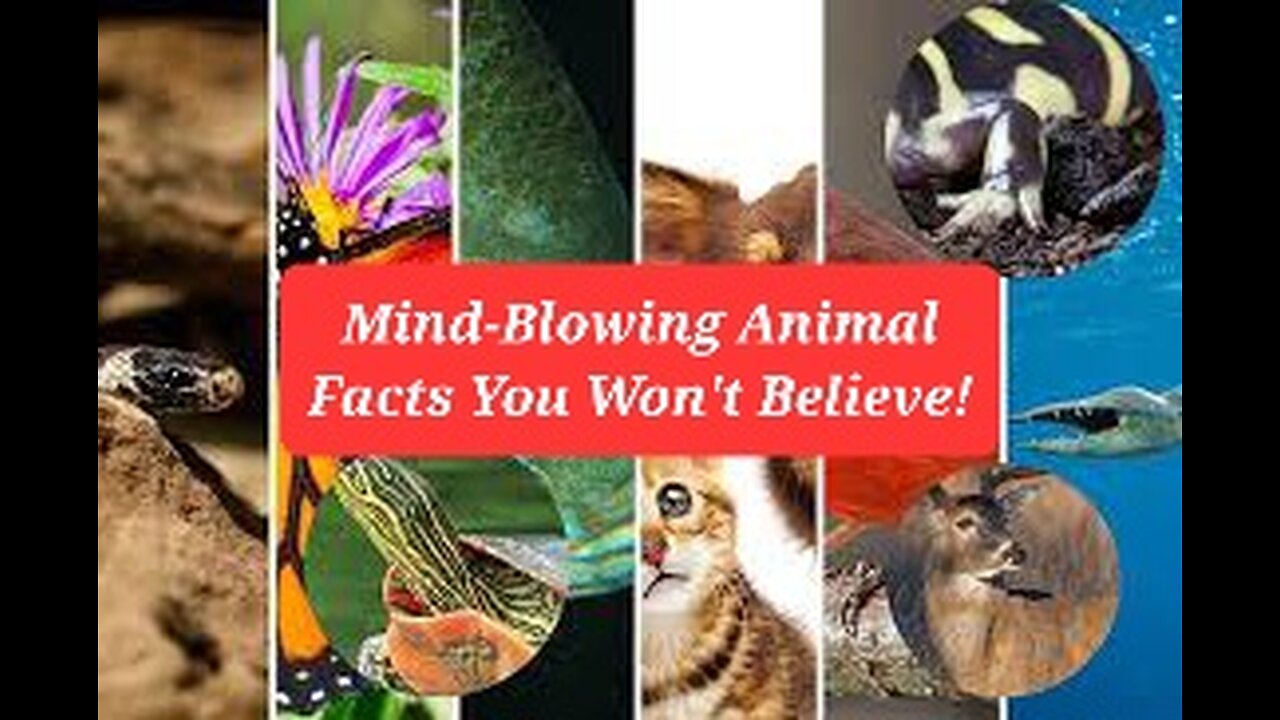 Mind-Blowing Animal Facts You Won't Believe!