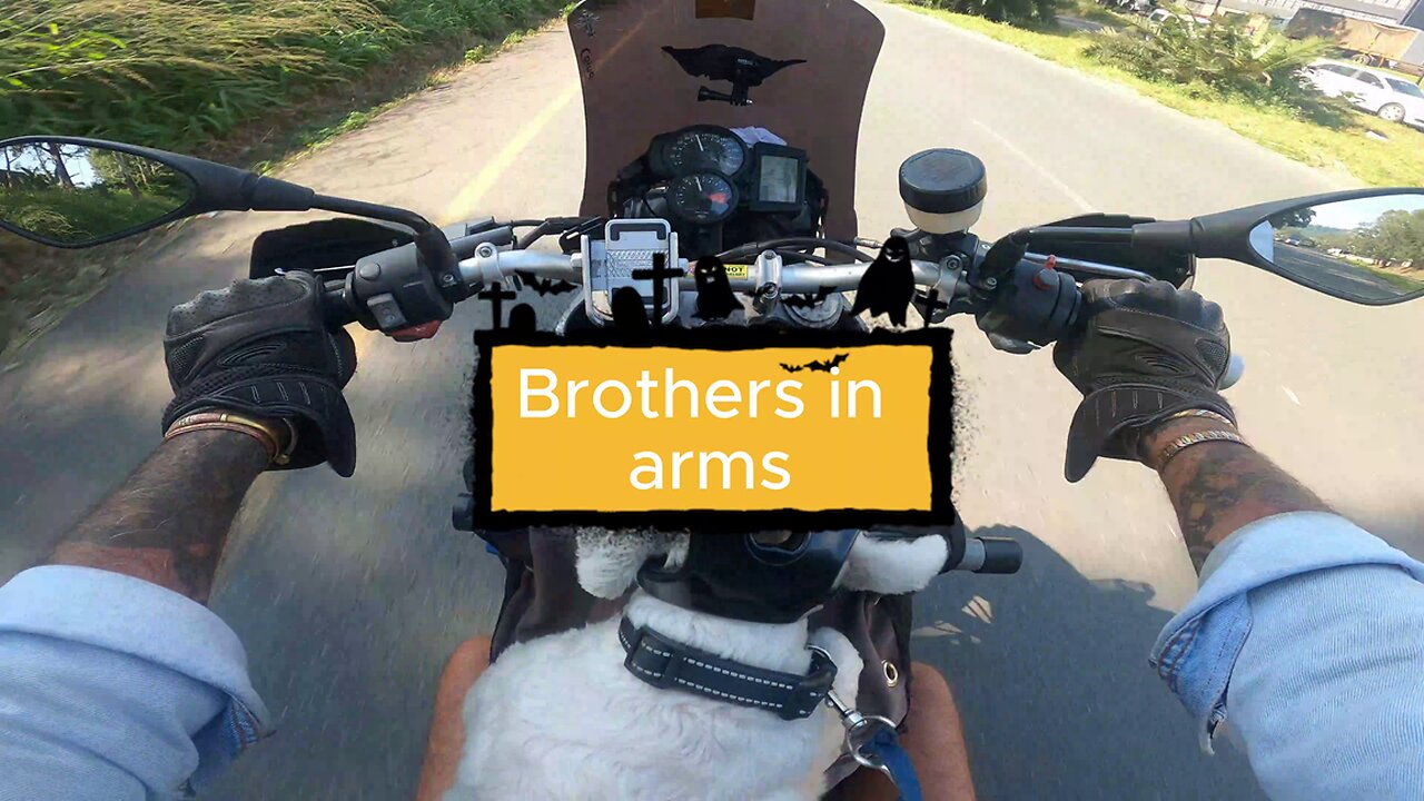 Brothers in Arms