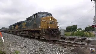 CSX Trains from Sterling, Ohio May 31, 2025 Part 2
