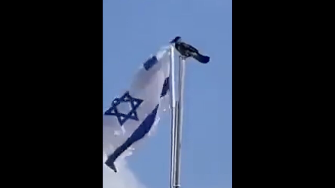 Geopolitical, Spiritual Consequences of Christian Zionism; the Raven - a Symbolic Omen? - Ep 242