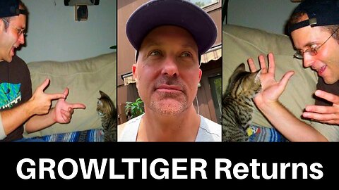 ChrisCHAT: GROWLTIGER Returns