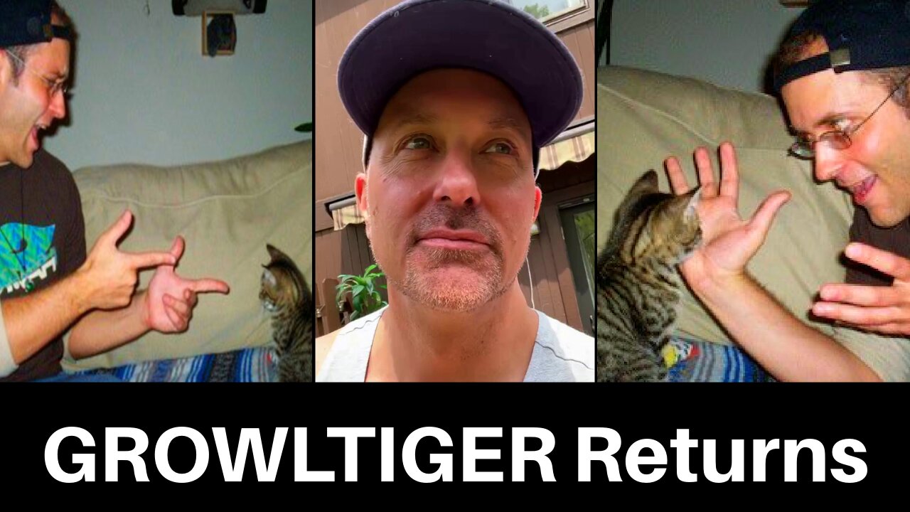 ChrisCHAT: GROWLTIGER Returns